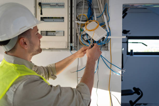 Best Affordable Electrician  in Winsted, MN